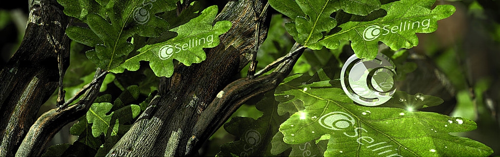 K-3D GRAPHIC . REFERENZEN . CoSelling®